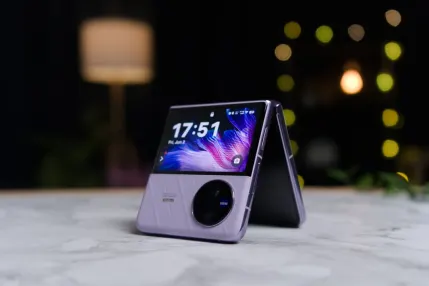 Casino Jungle Raja Mobile App